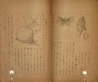 子供の理科 虫とりの巻