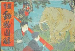 教育 動物図解