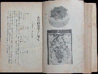 近代的焼菓子の研究 附 洋生菓子及キャンデー初歩