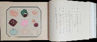 製菓美術 國菓図鑑