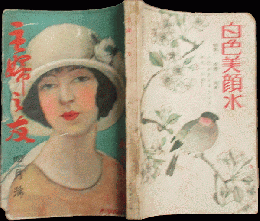 主婦之友 大正13年4月号(8巻4号)
