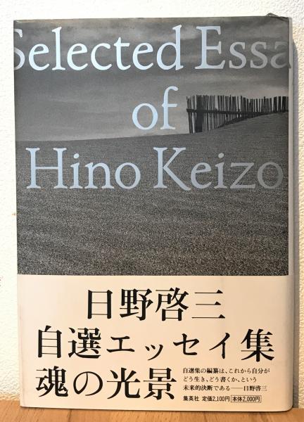 日野啓三自選エッセイ集 : 魂の光景