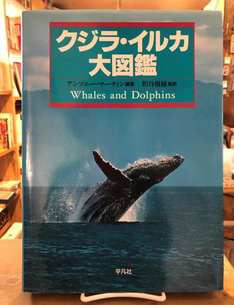 クジラ イルカ大図鑑 アンソニー マーティン 編著 粕谷俊雄 監訳 古書くんぷう堂 古本 中古本 古書籍の通販は 日本の古本屋 日本の古本屋