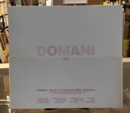 Domani・明日展2009 : 未来を担う美術家たち : 文化庁芸術家在外研修の成果