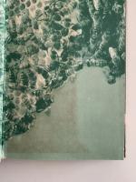 花をもとめて3000キロ　ミツバチ一家のたび　人類の記録シリーズ