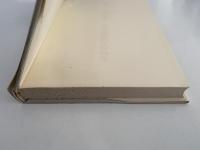 生物学の視座から