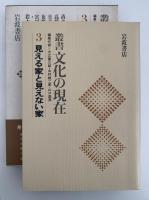 見える家と見えない家　叢書　文化の現在　３　