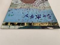 シャボテン　No.42〜No.44　3冊セット