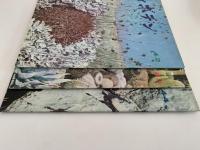 シャボテン　No.42〜No.44　3冊セット