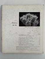 シャボテン　No.53〜No.64　12冊セット