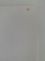 戸田市の民俗芸能Ⅳ　戸田市の祭り囃子・神楽　戸田市立郷土博物館調査報告書　第四集