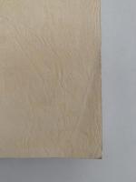 新宿区の民俗　(1)民俗芸能篇