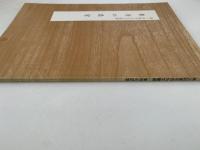 東寺の造営　第三回東寺百合文書展