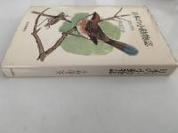 日本の小動物誌　昆虫と野鳥
