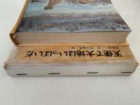 天使で大地はいっぱいだ　児童文学創作シリーズ
