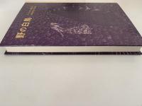 野の白鳥　アンデルセン童話選