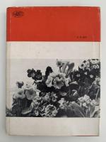 パンジーとプリムラ　楽しみ方　作り方　新園芸手帖