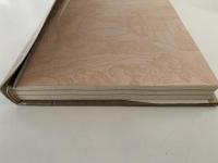 小麦粉博物誌２