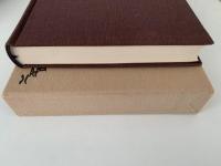 八代目　春風亭柳枝全集　全一巻