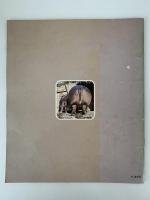 上野動物園　ZOOアルバム