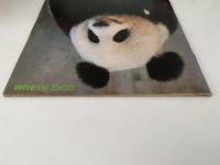 上野動物園　ZOOアルバム