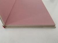 ぼくのあそびば　岩波ようねんぶんこ