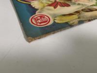 なかよしどうぶつ　ひかりのくに絵本