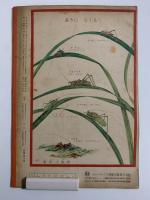 ひかりのくに　第七巻第九号　あきのむし