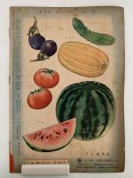 ひかりのくに　第七巻第八号　あつさに　まけないで