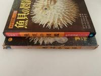 魚貝の図鑑　小学館の新学習図鑑シリーズ3