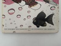 こどものほん　５　２〜３歳　幼児家庭教育講座