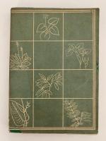 生菜食と青汁療法