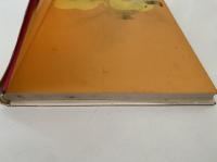 ミカちゃんのぼうけん　創作幼年童話選3