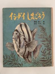 イシダイしまごろう　文研科学の読み物