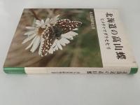 北海道の高山蝶　ヒメチャマダラセセリ