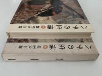 ハチの生活　岩波科学の本