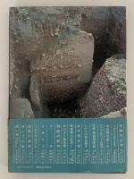 聖書考古学序説　「旧約聖書」の地を掘る
