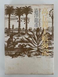 高丘新王航海記