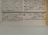 カイトマン　凧人　6号