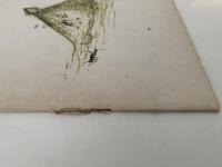 あり　かがくのとも61号