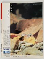 太陽　1989年11月号　No.339　特集：世界を創った100枚の写真