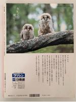 太陽　1993年7月号　No.385　特集：人間の現在