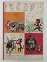キンダーブック　みず　昭和35年6月号