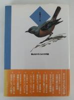 カワウソの消えた日　国土社の子どもの文学