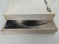 ピカソ　二十世紀美術の象徴