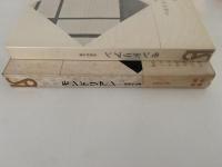 モンドリアン　美術選書