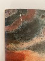 さる神たいじ　絵本むかしばなし