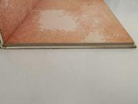 金色のかも　絵本むかしばなし