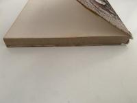 サッカー　写真と図解による