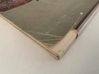 茶と美　第５号　特集：茶花　風炉編